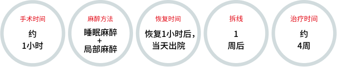 Miss阴道成形术说明