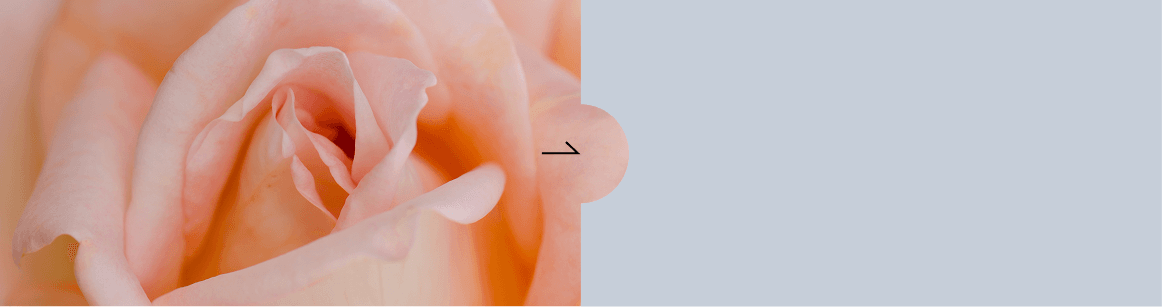 clitoral