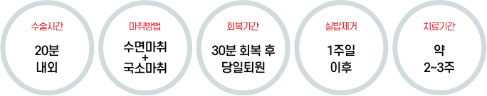 음핵 성형술 안내