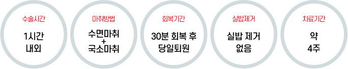 임플란트 질성형술 안내