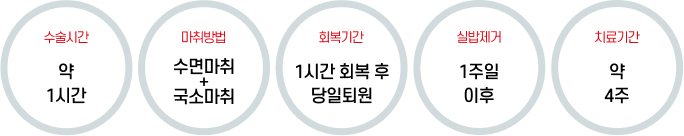 미스 질성형술 안내