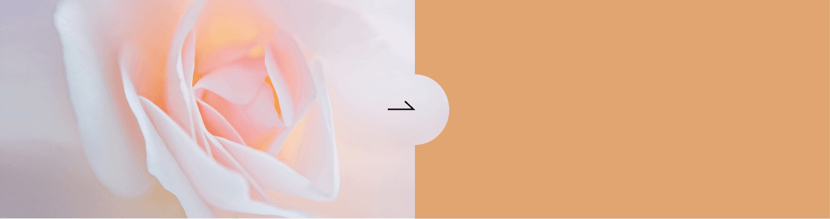labiaplasty