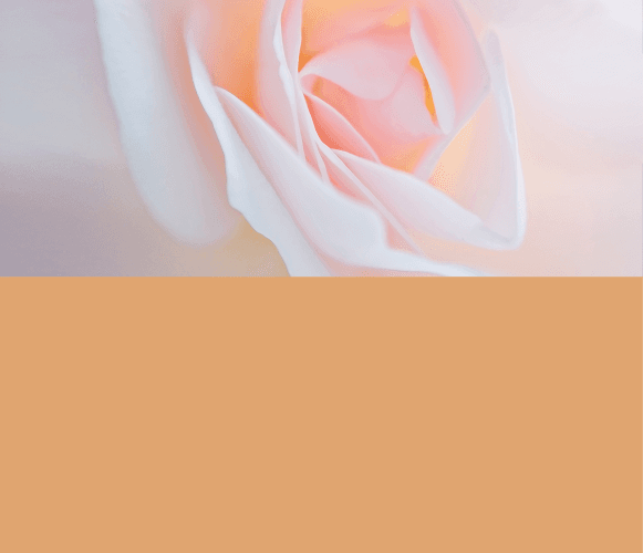 labiaplasty